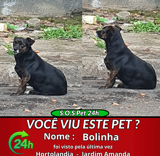 sos-pet-3